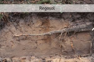 Regrou Sol 10+ Principales Tipos de Suelo - Construlabs